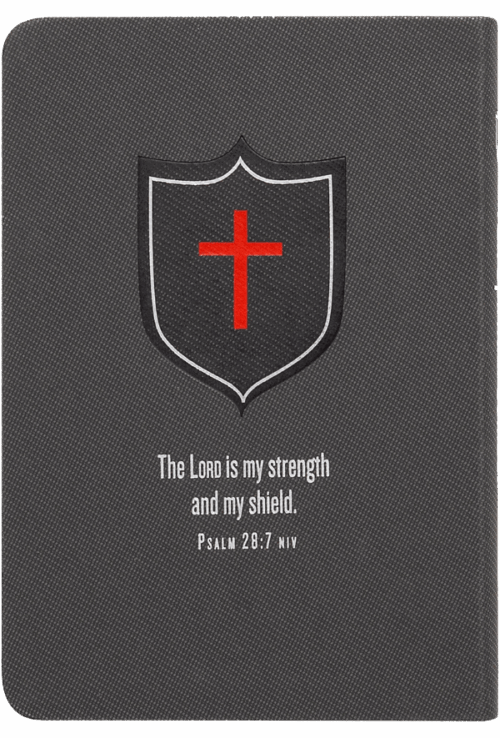 On Spiritual Combat back