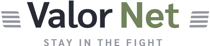 valor net logo valor net logo